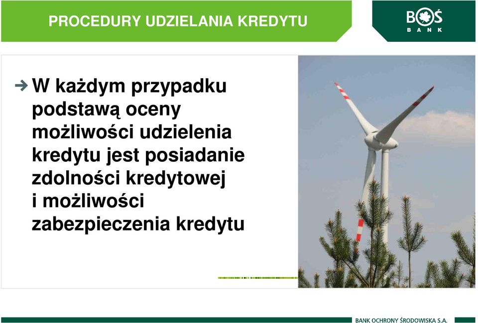 udzielenia kredytu jest posiadanie