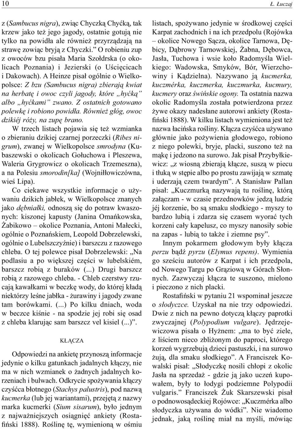 A Heinze pisał ogólnie o Wielkopolsce: Z bzu (Sambucus nigra) zbierają kwiat na herbatę i owoc czyli jagody, które hyćką albo hyćkami zwano. Z ostatnich gotowano polewkę i robiono powidła.