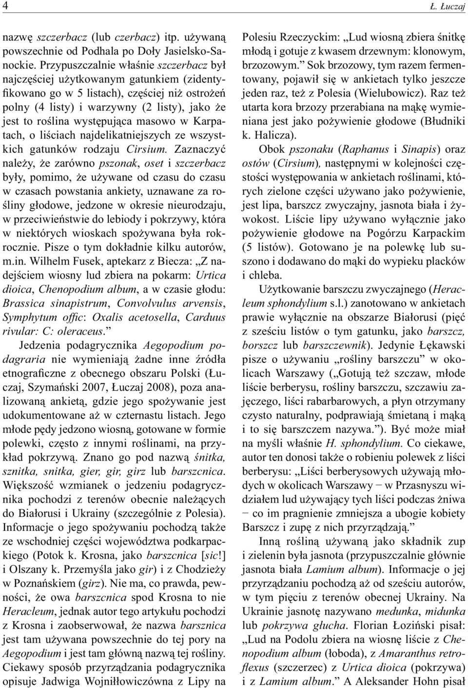 występująca masowo w Karpatach, o liściach najdelikatniejszych ze wszystkich gatunków rodzaju Cirsium.