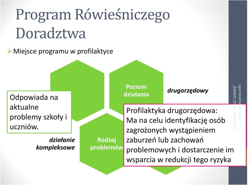 działanie kompleksowe Rodzaj problemów Poziom działania drugorzędowy Profilaktyka