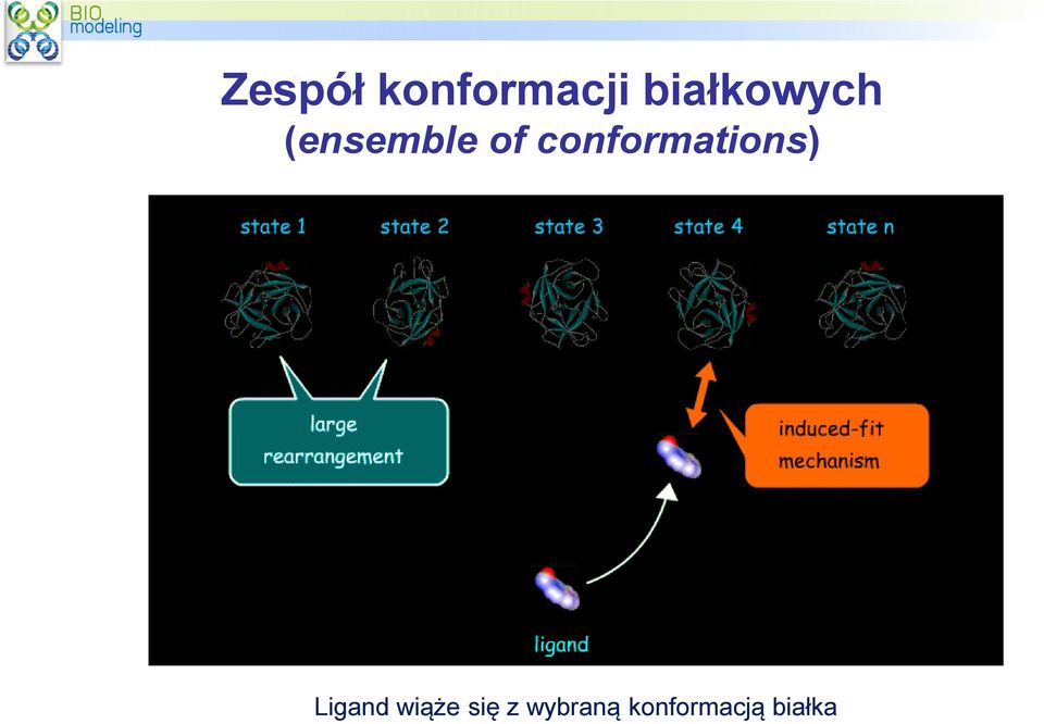 conformations) Ligand