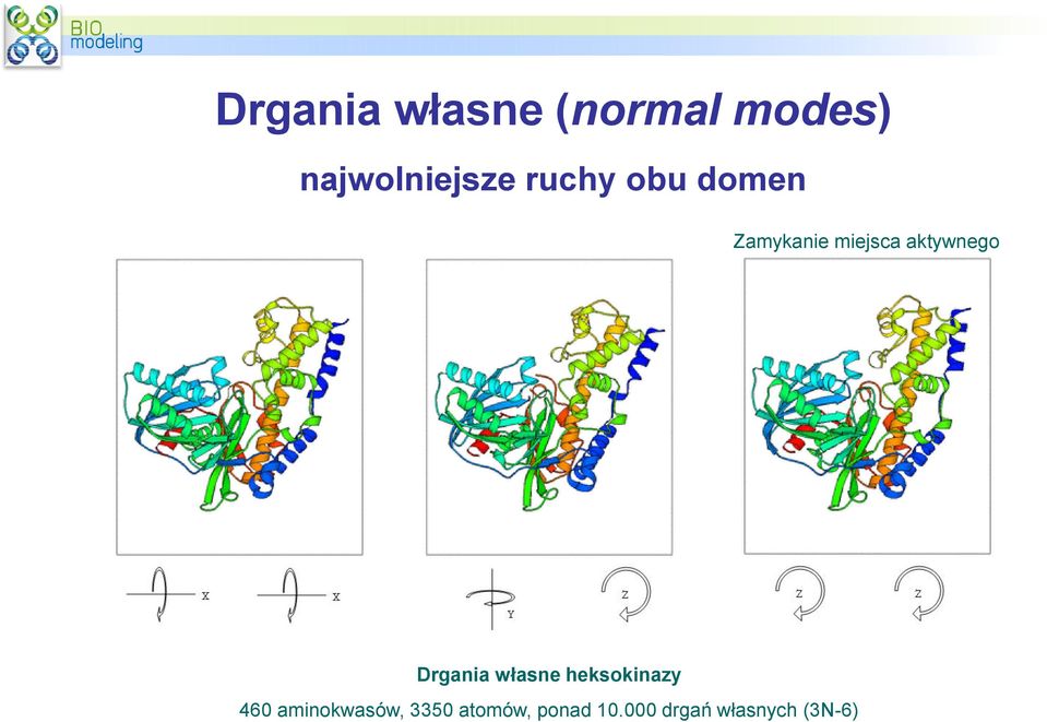 Drgania własne heksokinazy 460 aminokwasów,