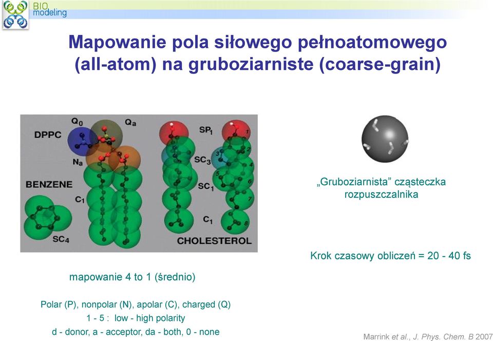 obliczeń = 20-40 fs Polar (P), nonpolar (N), apolar (C), charged (Q) 1-5 : low - high