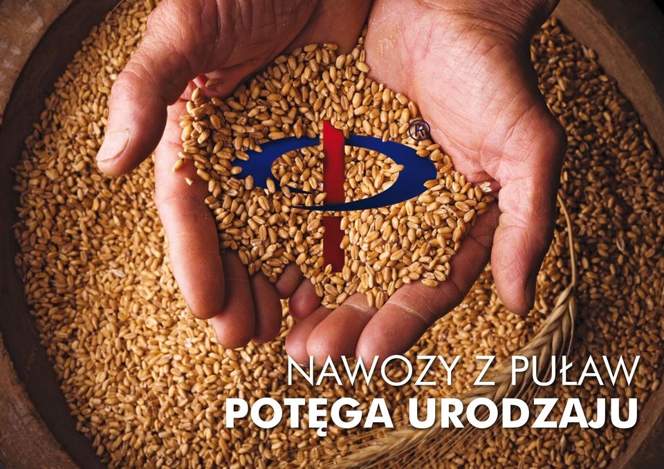 POTĘGA