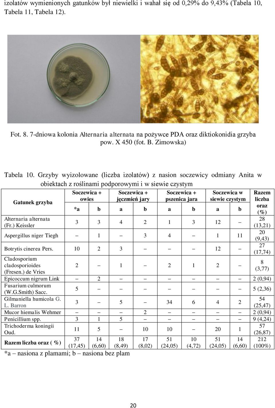 Grzyby wyizolowane (liczba izolatów) z nasion soczewicy odmiany Anita w obiektach z roślinami podporowymi i w siewie czystym Gatunek grzyba Alternaria alternata (Fr.