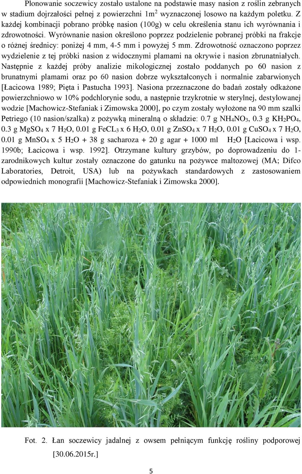 Wyrównanie nasion określono poprzez podzielenie pobranej próbki na frakcje o różnej średnicy: poniżej 4 mm, 4-5 mm i powyżej 5 mm.