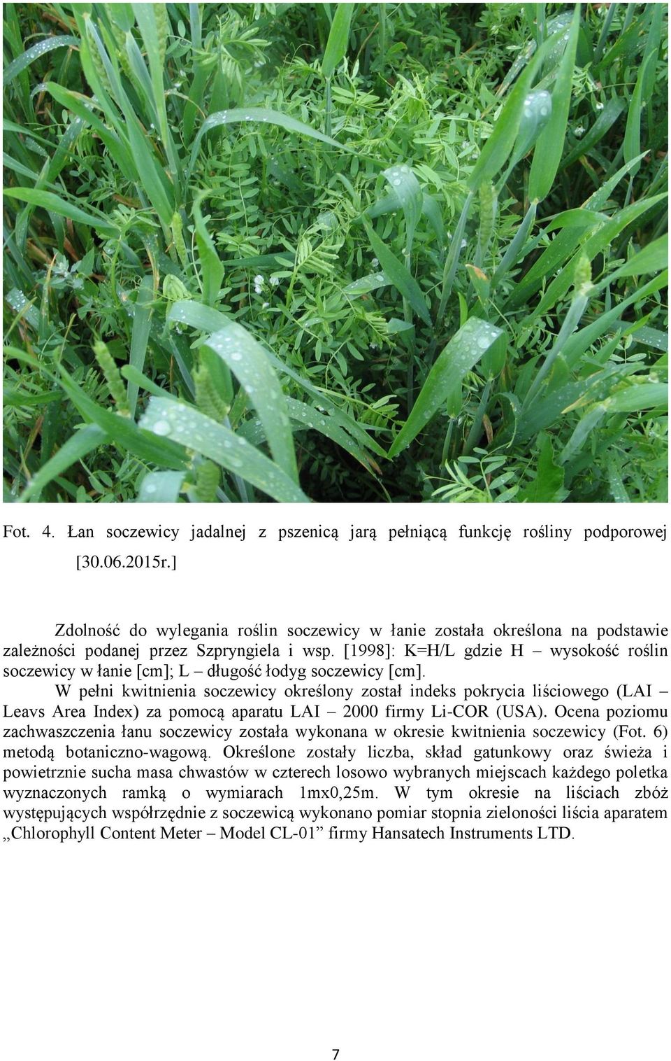 [1998]: K=H/L gdzie H wysokość roślin soczewicy w łanie [cm]; L długość łodyg soczewicy [cm].