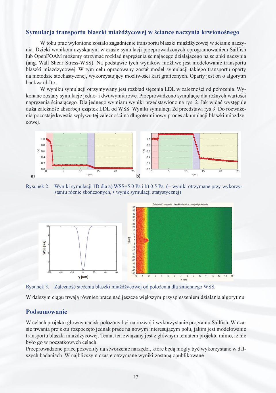 Wall Shear Stress-WSS). Na podstawie tych wyników możliwe jest modelowanie transportu blaszki miażdżycowej.