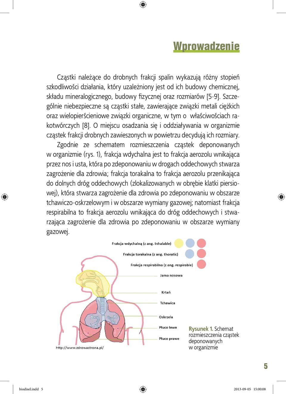 O miejscu osadzania się i oddziaływania w organizmie cząstek frakcji drobnych zawieszonych w powietrzu decydują ich rozmiary.