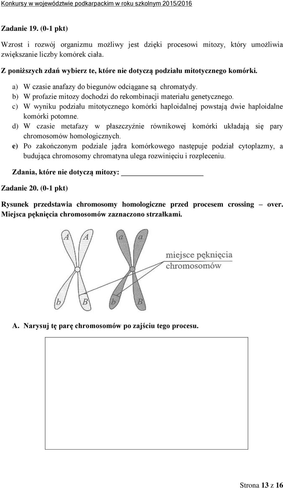 b) W profazie mitozy dochodzi do rekombinacji materiału genetycznego. c) W wyniku podziału mitotycznego komórki haploidalnej powstają dwie haploidalne komórki potomne.