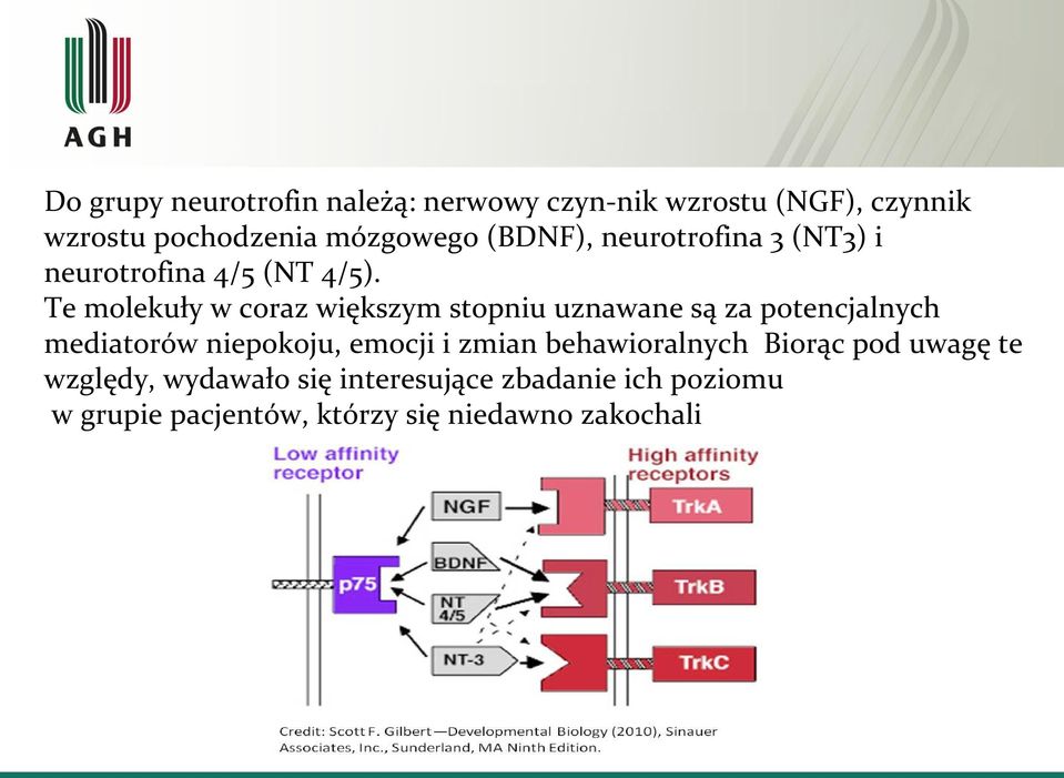 Te molekuły w coraz większym stopniu uznawane są za potencjalnych mediatorów niepokoju, emocji i