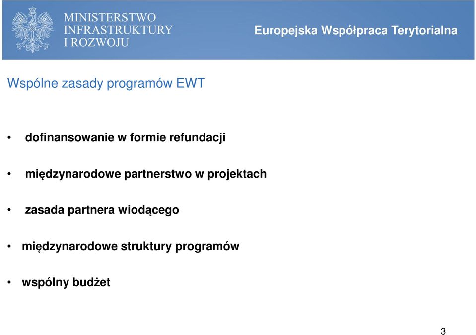 międzynarodowe partnerstwo w projektach zasada