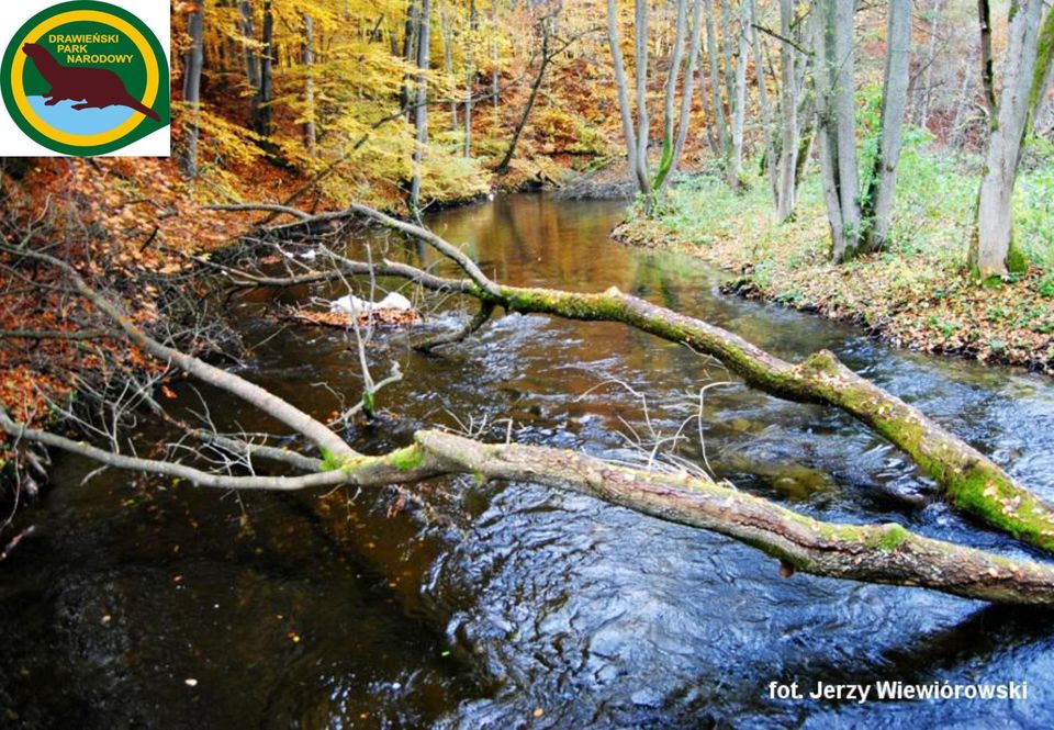 Projektu: Biebrzański Park Narodowy Drawieński Park Narodowy