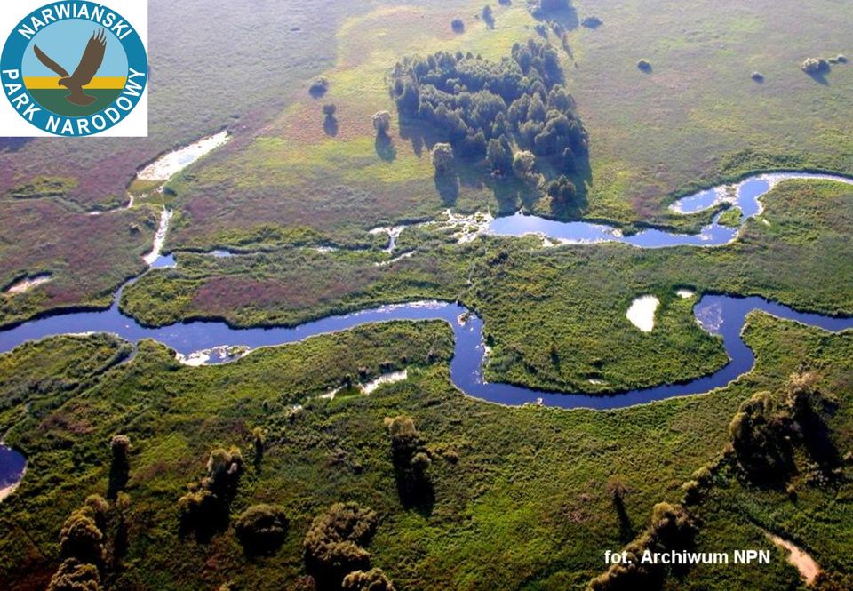 Projektu: Biebrzański Park Narodowy Drawieński Park Narodowy