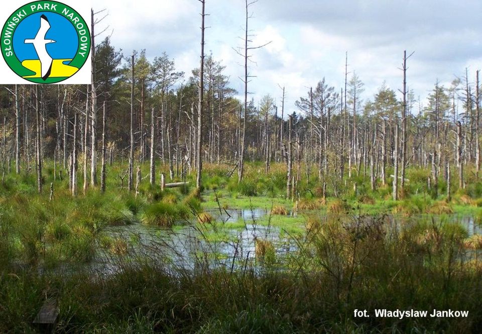 Projektu: Biebrzański Park Narodowy Drawieński Park Narodowy