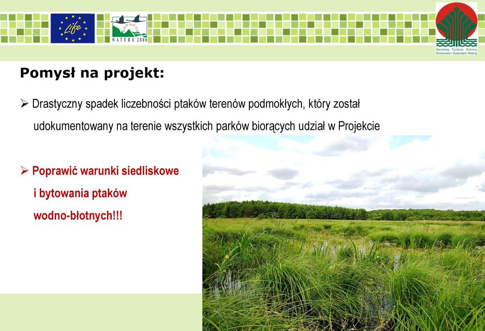 wszystkich parków biorących udział w Projekcie Poprawić