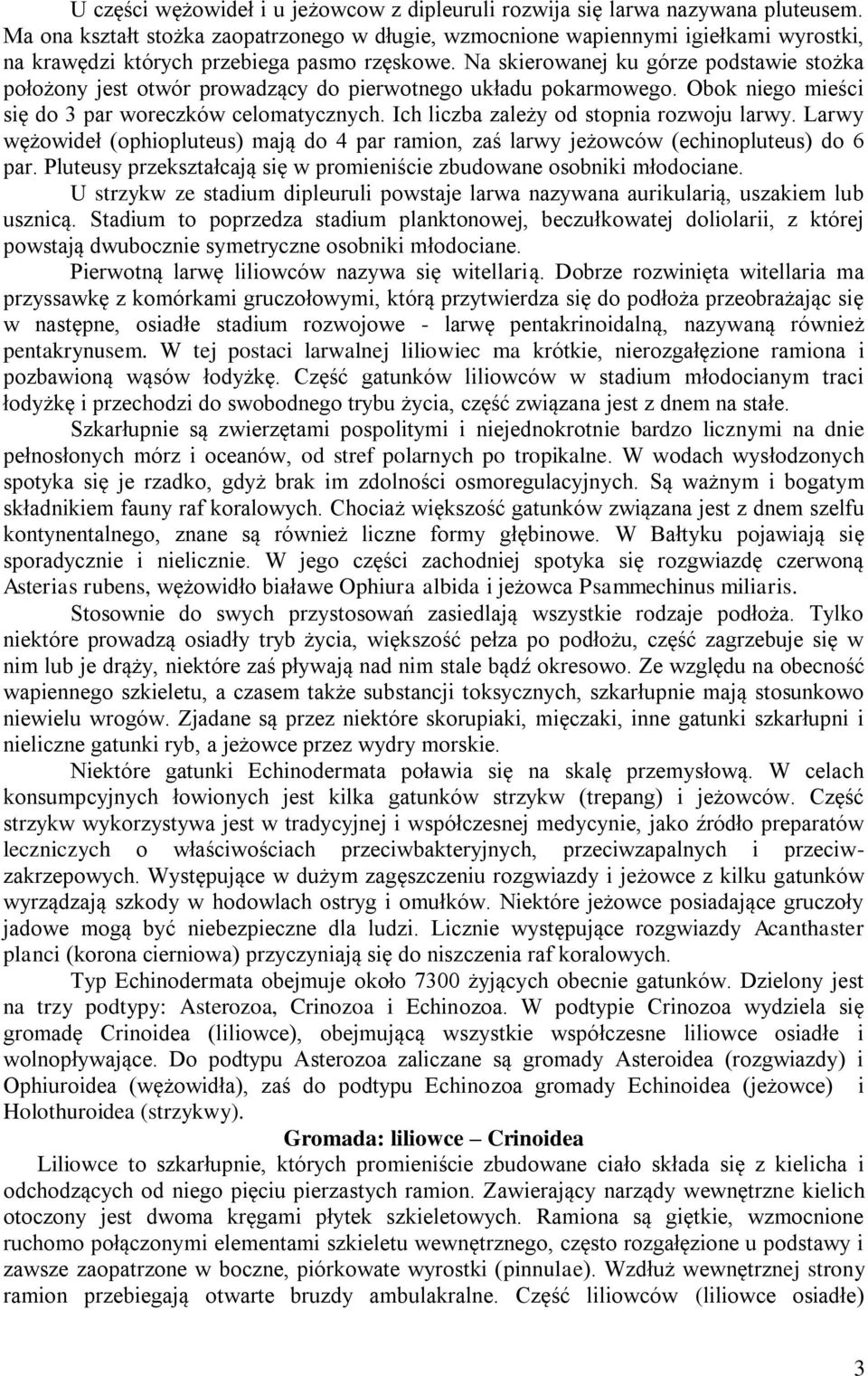 Na skierowanej ku górze podstawie stożka położony jest otwór prowadzący do pierwotnego układu pokarmowego. Obok niego mieści się do 3 par woreczków celomatycznych.