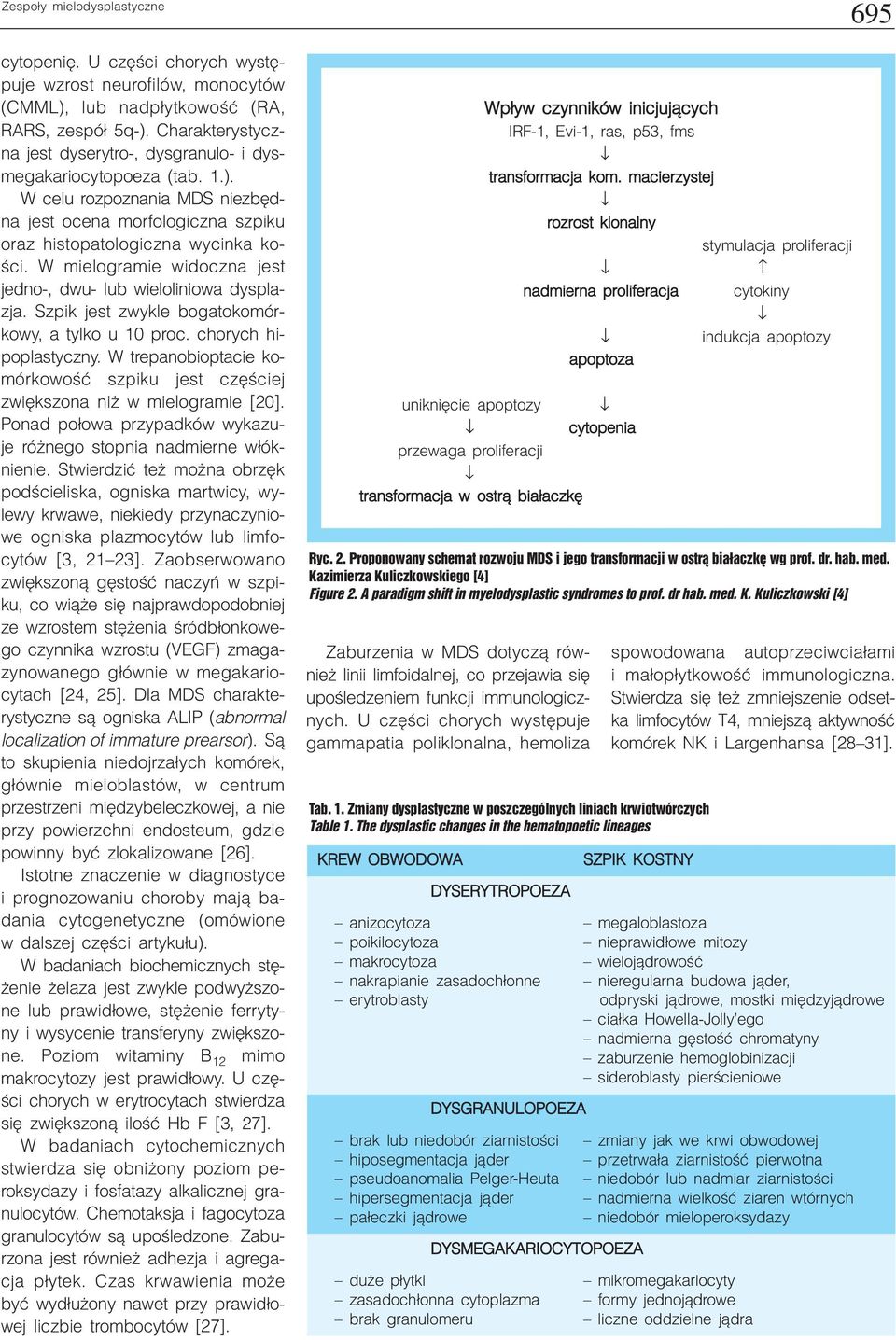 W mielogramie widoczna jest jedno-, dwu- lub wieloliniowa dysplazja. Szpik jest zwykle bogatokomórkowy, a tylko u 10 proc. chorych hipoplastyczny.