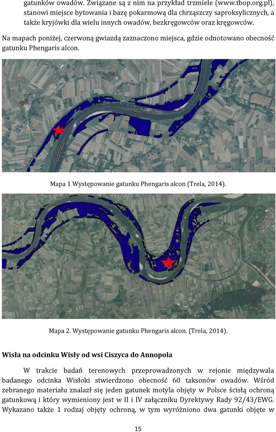 Na mapach poniżej, czerwoną gwiazdą zaznaczono miejsca, gdzie odnotowano obecność gatunku Phengaris alcon. Mapa 1 Występowanie gatunku Phengaris alcon (Trela, 2014). Mapa 2.