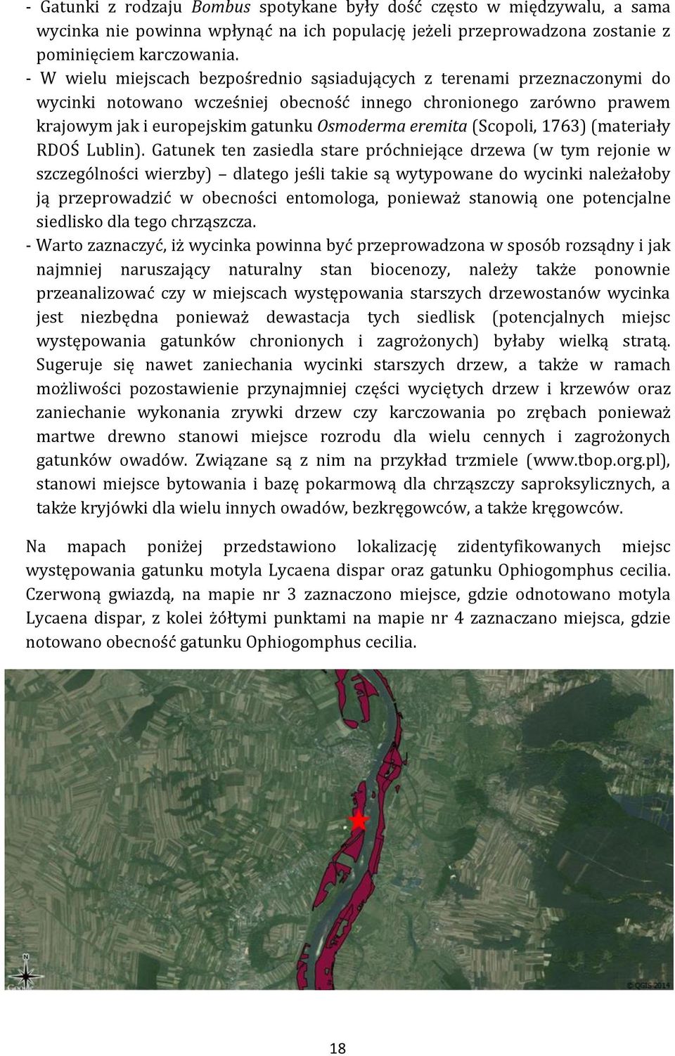 (Scopoli, 1763) (materiały RDOŚ Lublin).