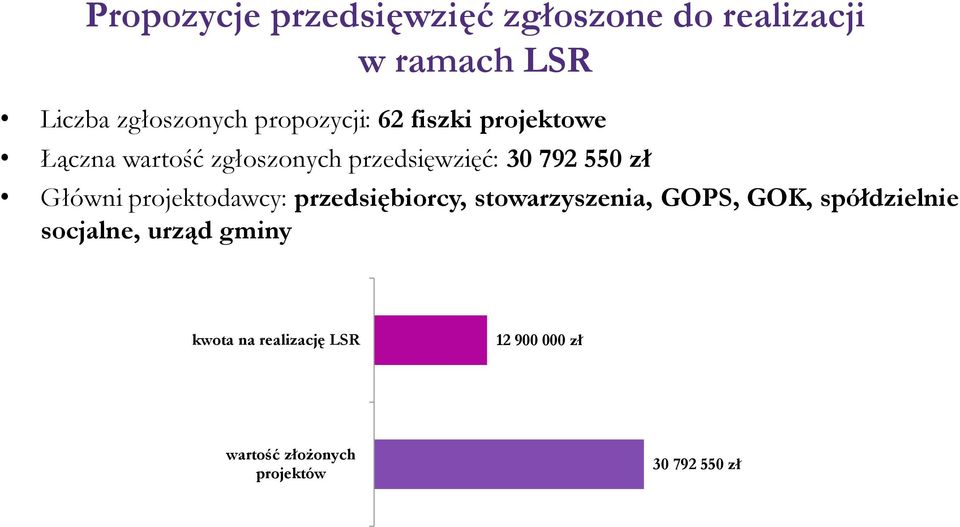 zł Główni projektodawcy: przedsiębiorcy, stowarzyszenia, GOPS, GOK, spółdzielnie