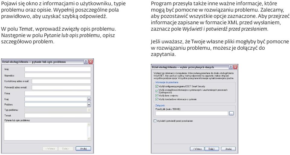 Program przesyła także inne ważne informacje, które mogą być pomocne w rozwiązaniu problemu. Zalecamy, aby pozostawić wszystkie opcje zaznaczone.