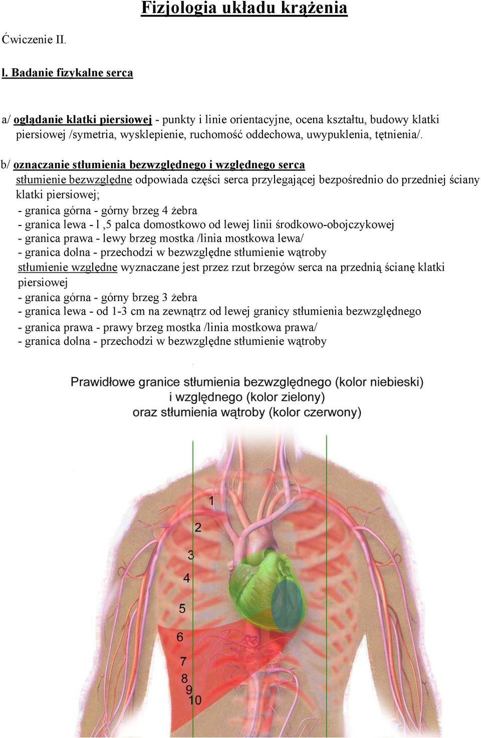 b/ oznaczanie stłumienia bezwzględnego i względnego serca stłumienie bezwzględne odpowiada części serca przylegającej bezpośrednio do przedniej ściany klatki piersiowej; - granica górna - górny brzeg