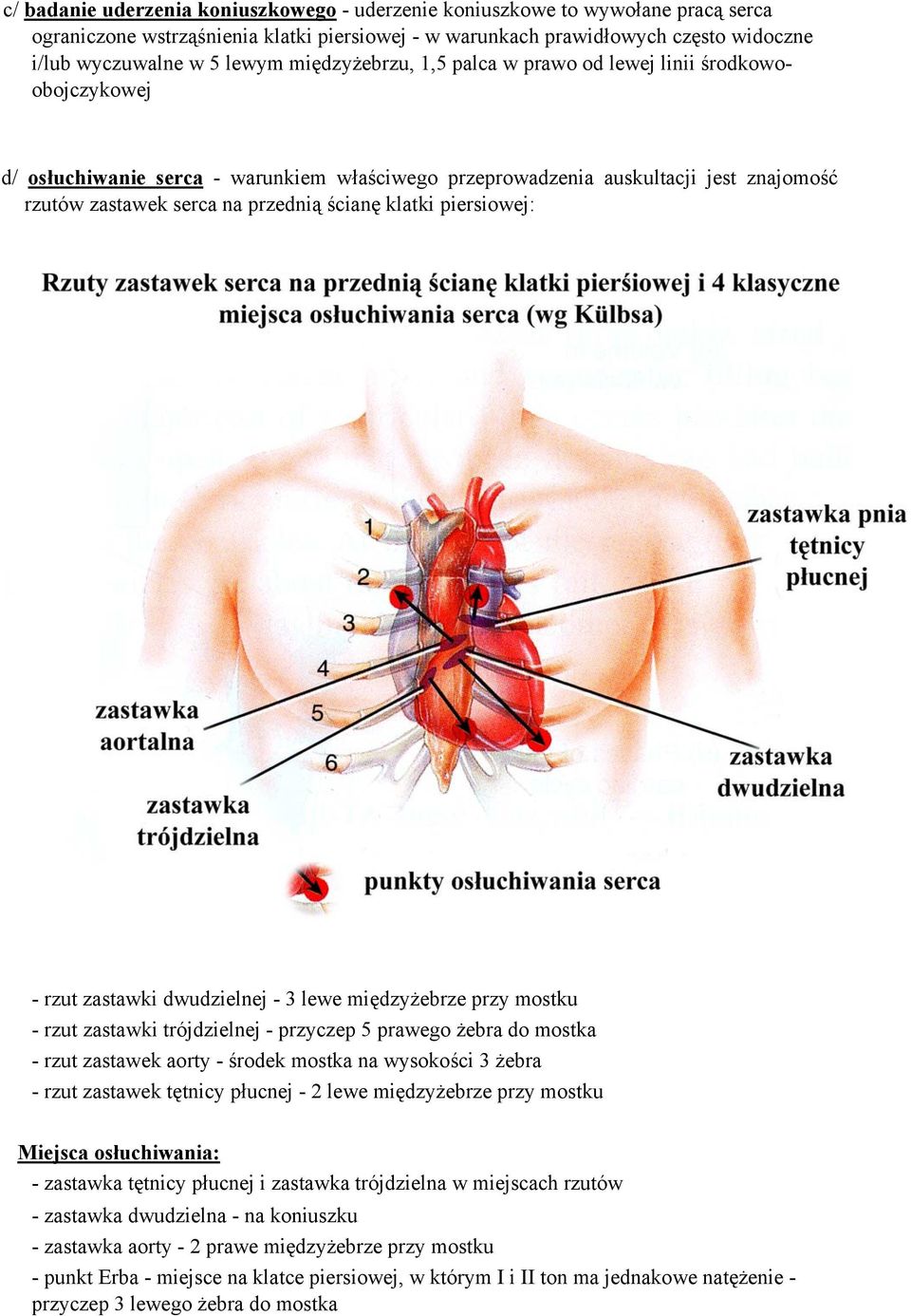 klatki piersiowej: - rzut zastawki dwudzielnej - 3 lewe międzyżebrze przy mostku - rzut zastawki trójdzielnej - przyczep 5 prawego żebra do mostka - rzut zastawek aorty - środek mostka na wysokości 3