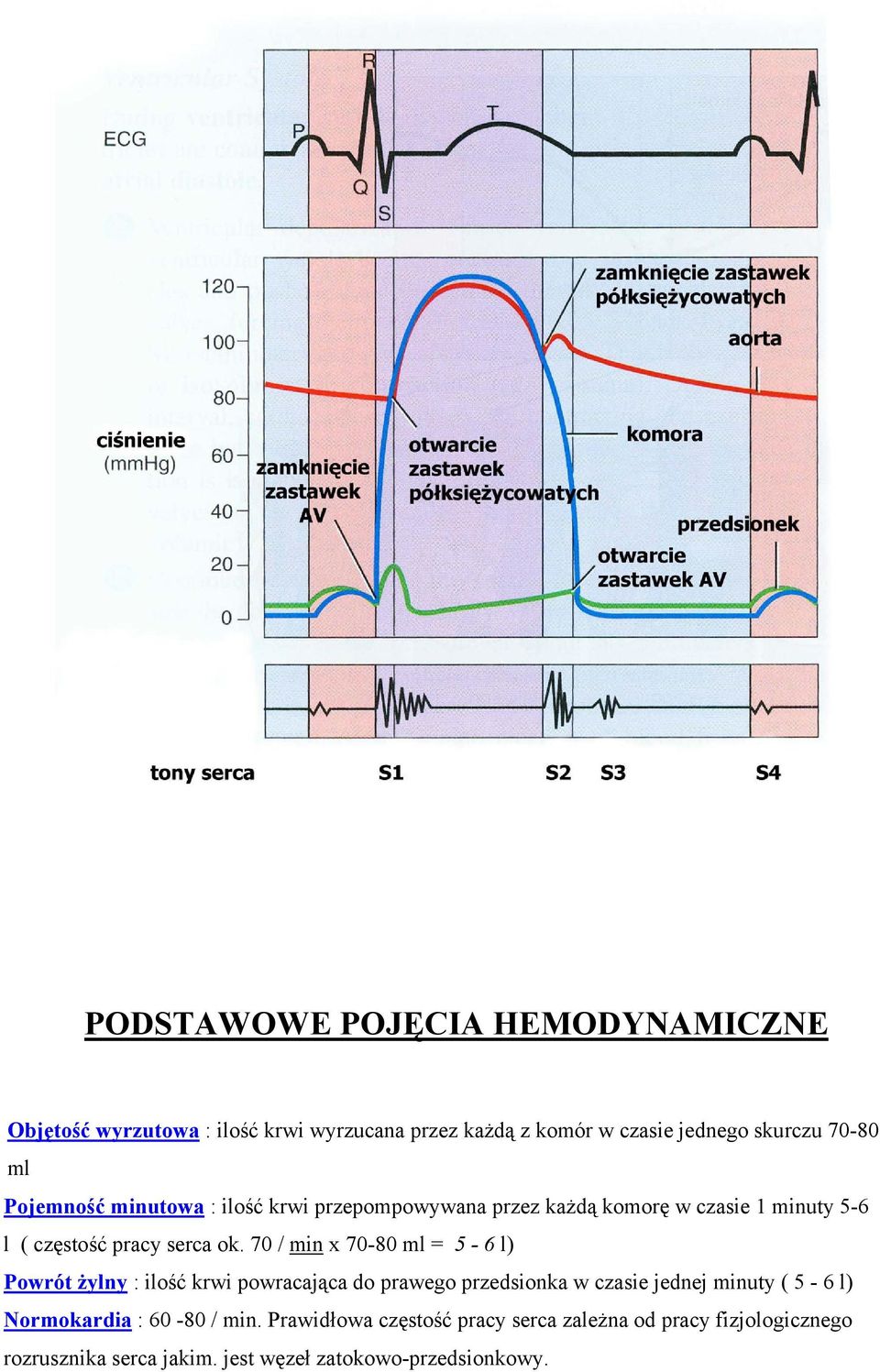 70 / min x 70-80 ml = 5-6 l) Powrót żylny : ilość krwi powracająca do prawego przedsionka w czasie jednej minuty ( 5-6 l)