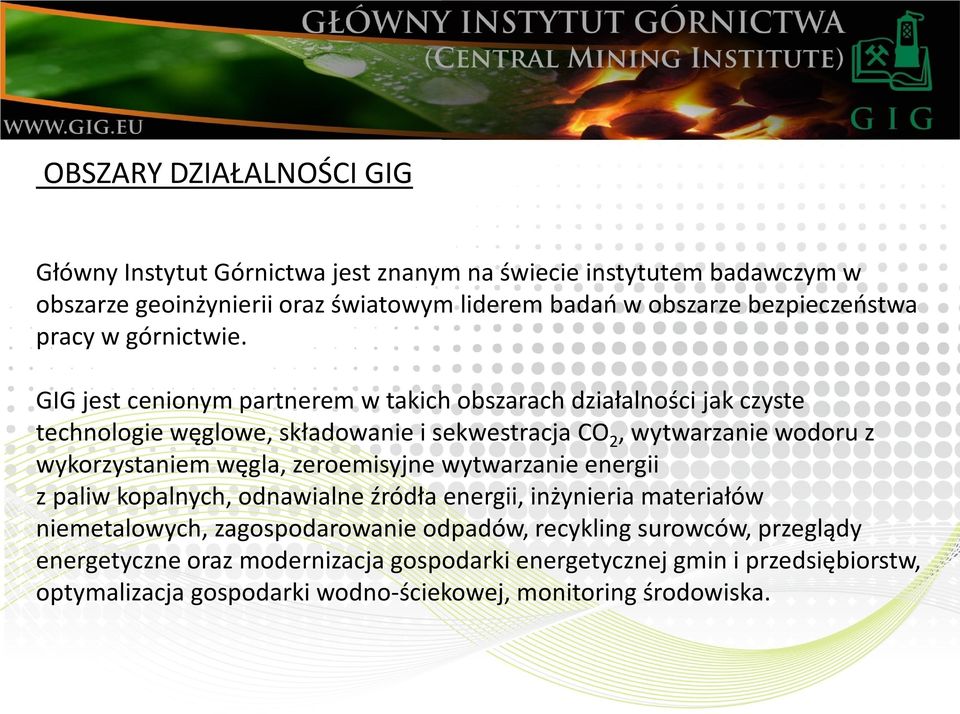 GIG jest cenionym partnerem w takich obszarach działalności jak czyste technologie węglowe, składowanie i sekwestracja CO 2, wytwarzanie wodoru z wykorzystaniem węgla,