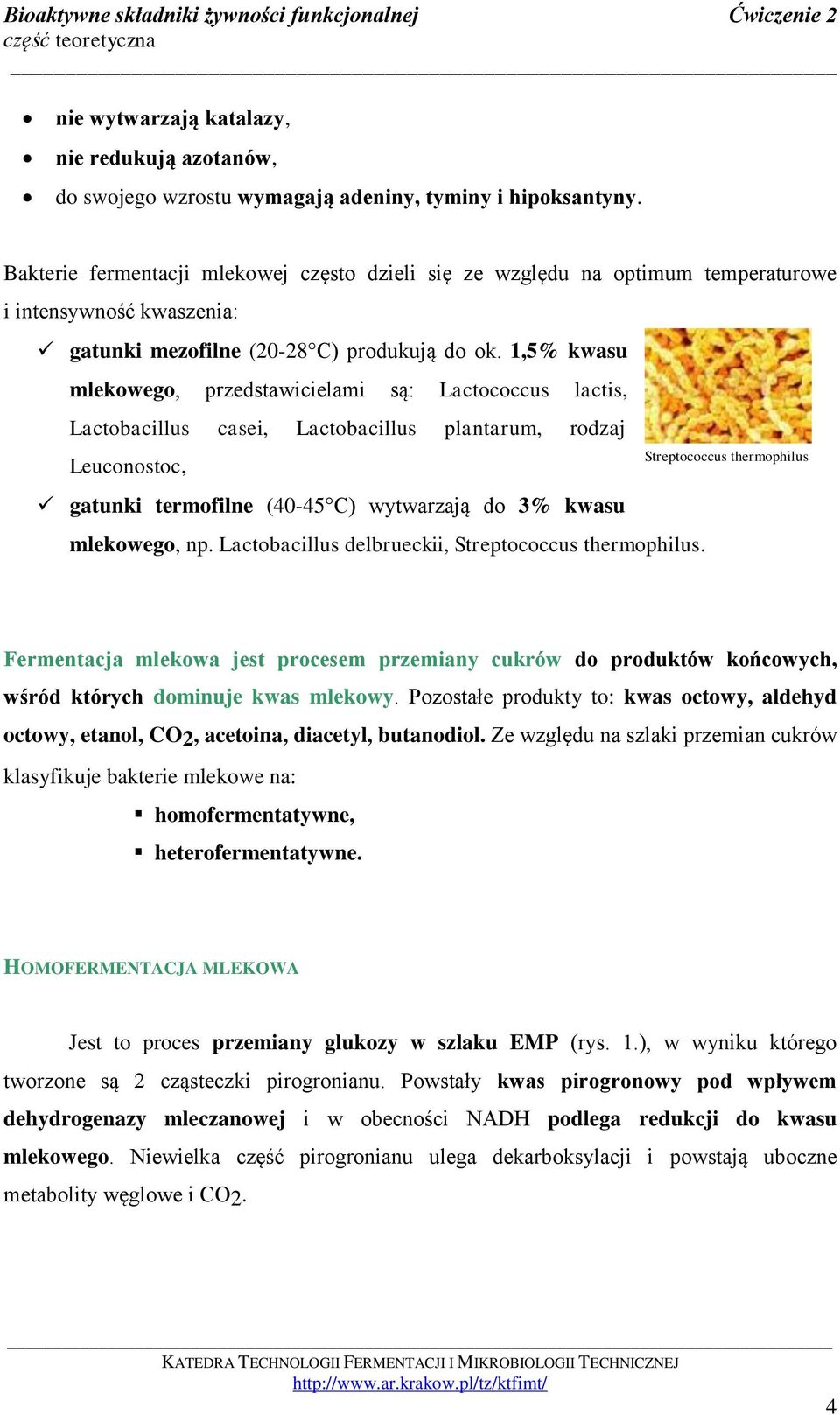 1,5% kwasu mlekowego, przedstawicielami są: Lactococcus lactis, Lactobacillus casei, Lactobacillus plantarum, rodzaj Leuconostoc, gatunki termofilne (40-45C) wytwarzają do 3% kwasu mlekowego, np.