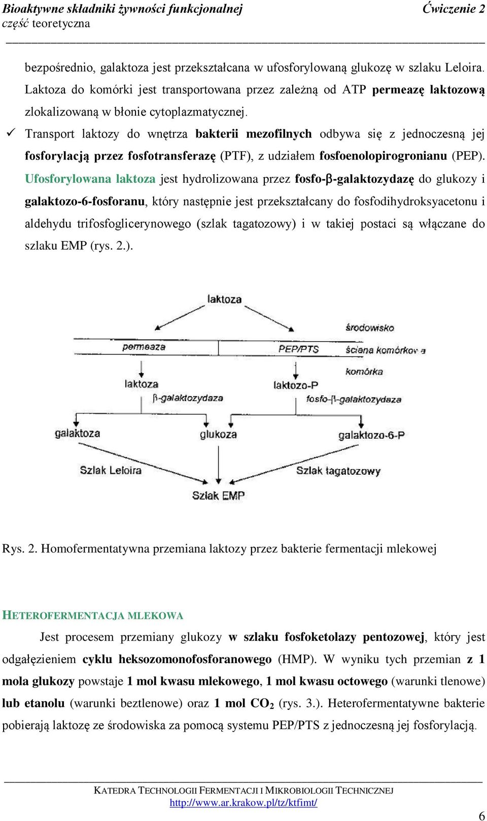 Transport laktozy do wnętrza bakterii mezofilnych odbywa się z jednoczesną jej fosforylacją przez fosfotransferazę (PTF), z udziałem fosfoenolopirogronianu (PEP).