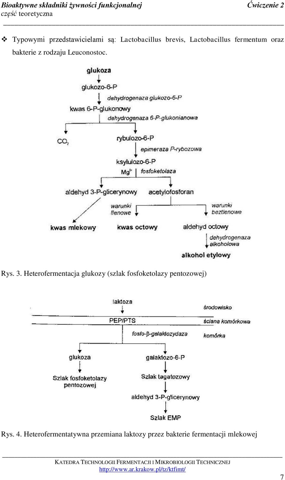 3. Heterofermentacja glukozy (szlak fosfoketolazy pentozowej) Rys.