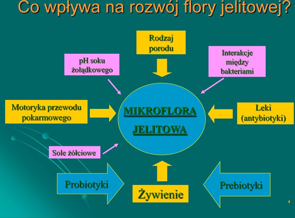 bakteriami Motoryka przewodu pokarmowego MIKROFLORA