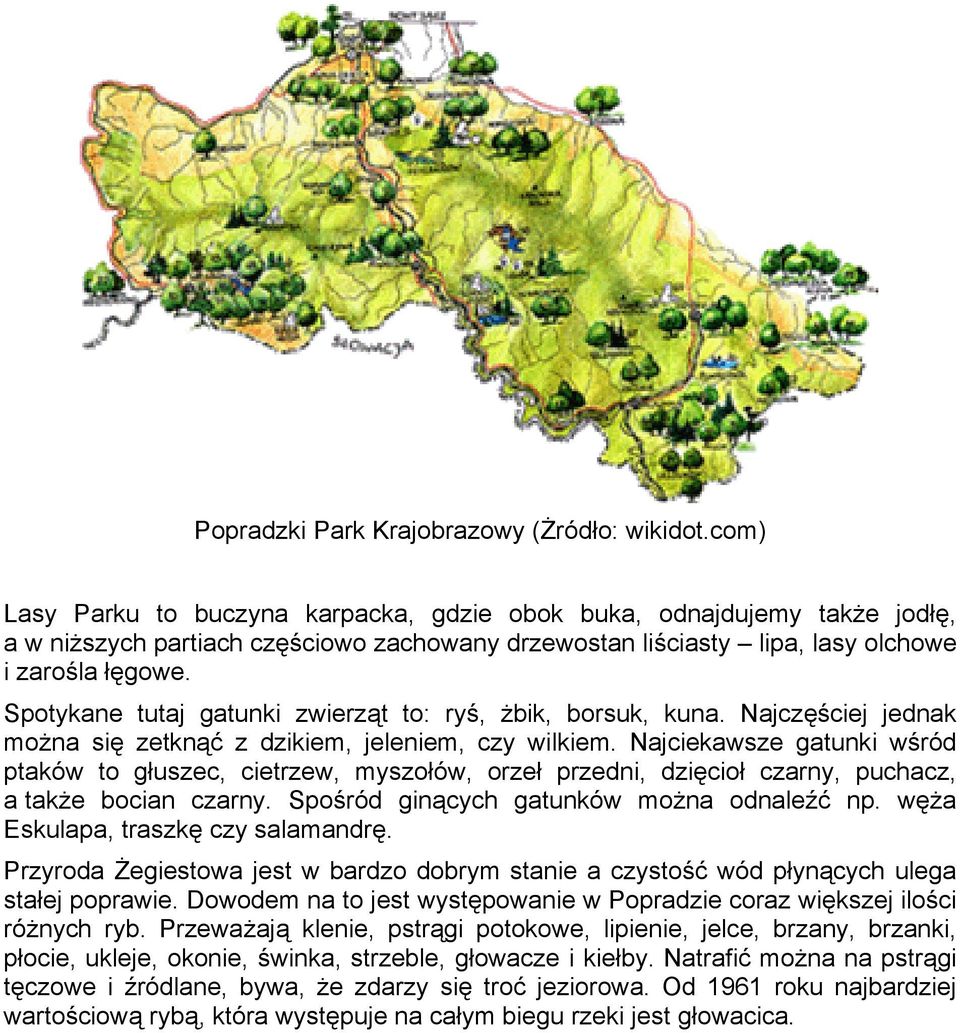 Spotykane tutaj gatunki zwierząt to: ryś, żbik, borsuk, kuna. Najczęściej jednak można się zetknąć z dzikiem, jeleniem, czy wilkiem.