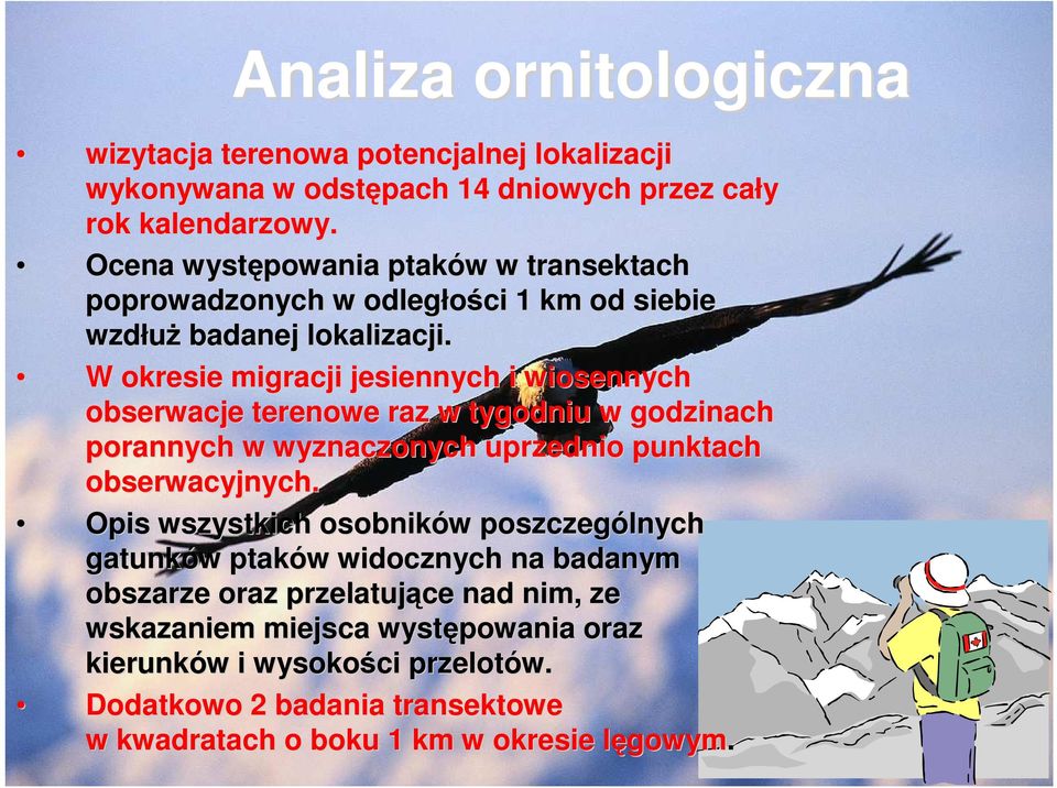 W okresie migracji jesiennych i wiosennych obserwacje terenowe raz w tygodniu w godzinach porannych w wyznaczonych uprzednio punktach obserwacyjnych.