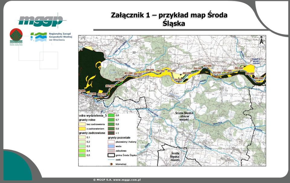przykład
