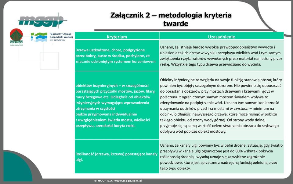Wszystkie tego typu drzewa przewidziano do wycinki. obiektów inżynieryjnych w szczególności porastających przyczółki mostów, jazów, filary, mury brzegowe etc.