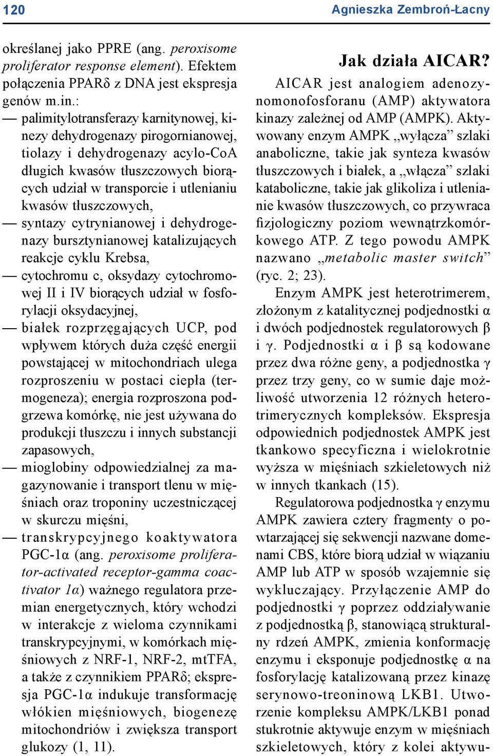 tłuszczowych, syntazy cytrynianowej i dehydrogenazy bursztynianowej katalizujących reakcje cyklu Krebsa, cytochromu c, oksydazy cytochromowej II i IV biorących udział w fosforylacji oksydacyjnej,
