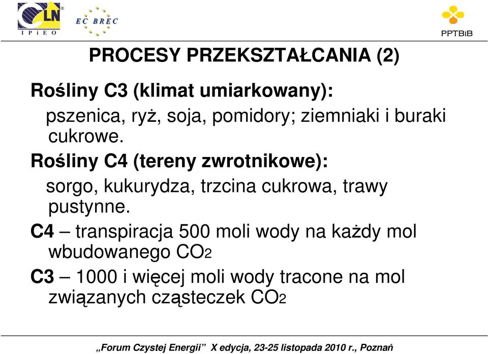 Rośliny C4 (tereny zwrotnikowe): sorgo, kukurydza, trzcina cukrowa, trawy pustynne.