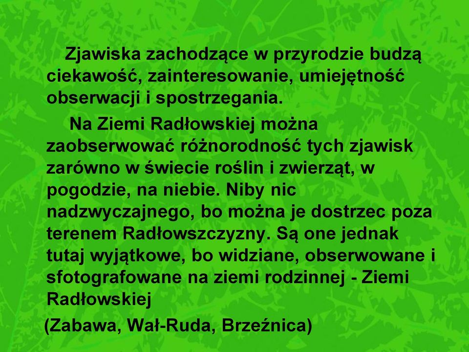 pogodzie, na niebie. Niby nic nadzwyczajnego, bo można je dostrzec poza terenem Radłowszczyzny.