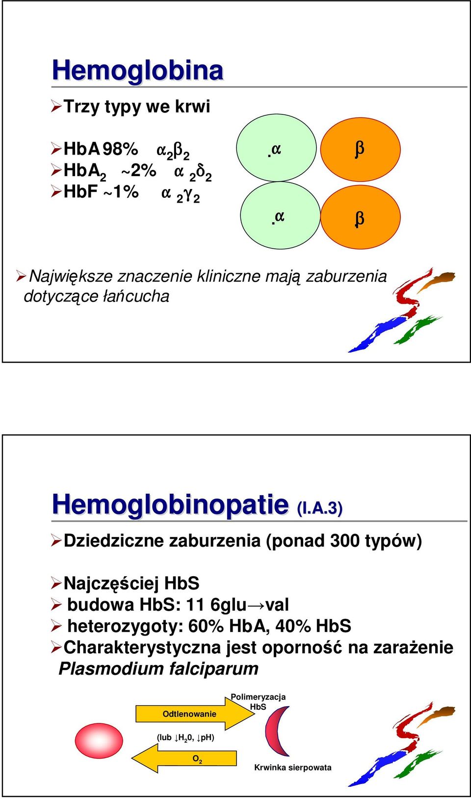 3) Dziedziczne zaburzenia (ponad 300 typów) Najczęściej HbS budowa HbS: 11 6glu val heterozygoty: 60% HbA,