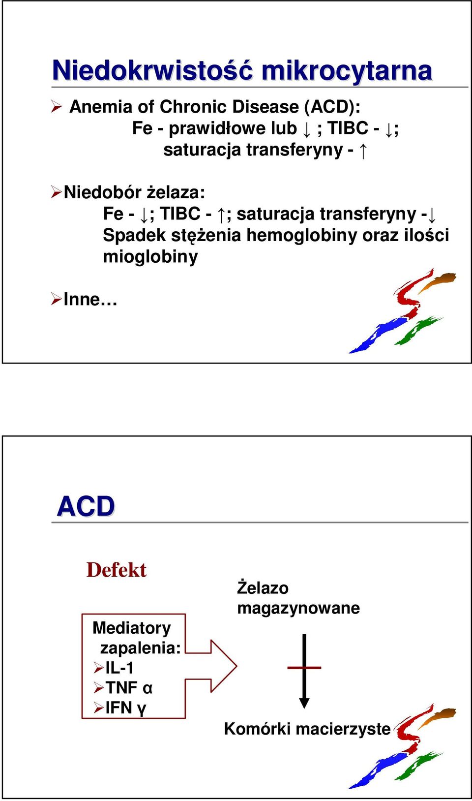 saturacja transferyny - Spadek stęŝenia hemoglobiny oraz ilości mioglobiny
