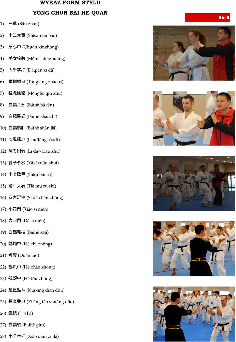 白 鶴 展 翅 (Báihè zhǎnchì) 10) 白 鶴 扇 胛 (Báihè shàn jiǎ) 11) 吹 風 掃 地 (Chuīfēng sǎodì) 12) 利 刀 削 竹 (Lì dāo xiāo zhú) 13) 鴨 子 汆 水 (Yāzi cuān shuǐ) 14) 十 七 敗 甲 (Shíqī bài jiǎ) 15) 鐵 牛 入 石 (Tiě niú rù shí)