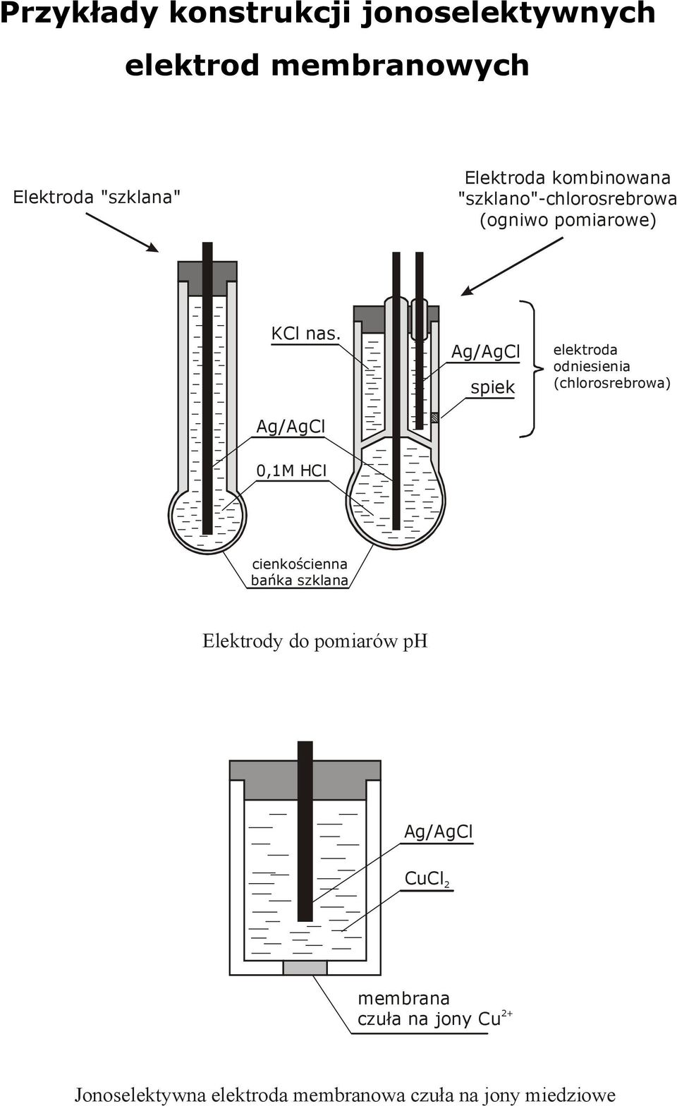 Ag/AgCl Ag/AgCl spiek elektroda odniesienia (chlorosrebrowa) 0,1M HCl cienkościenna bańka