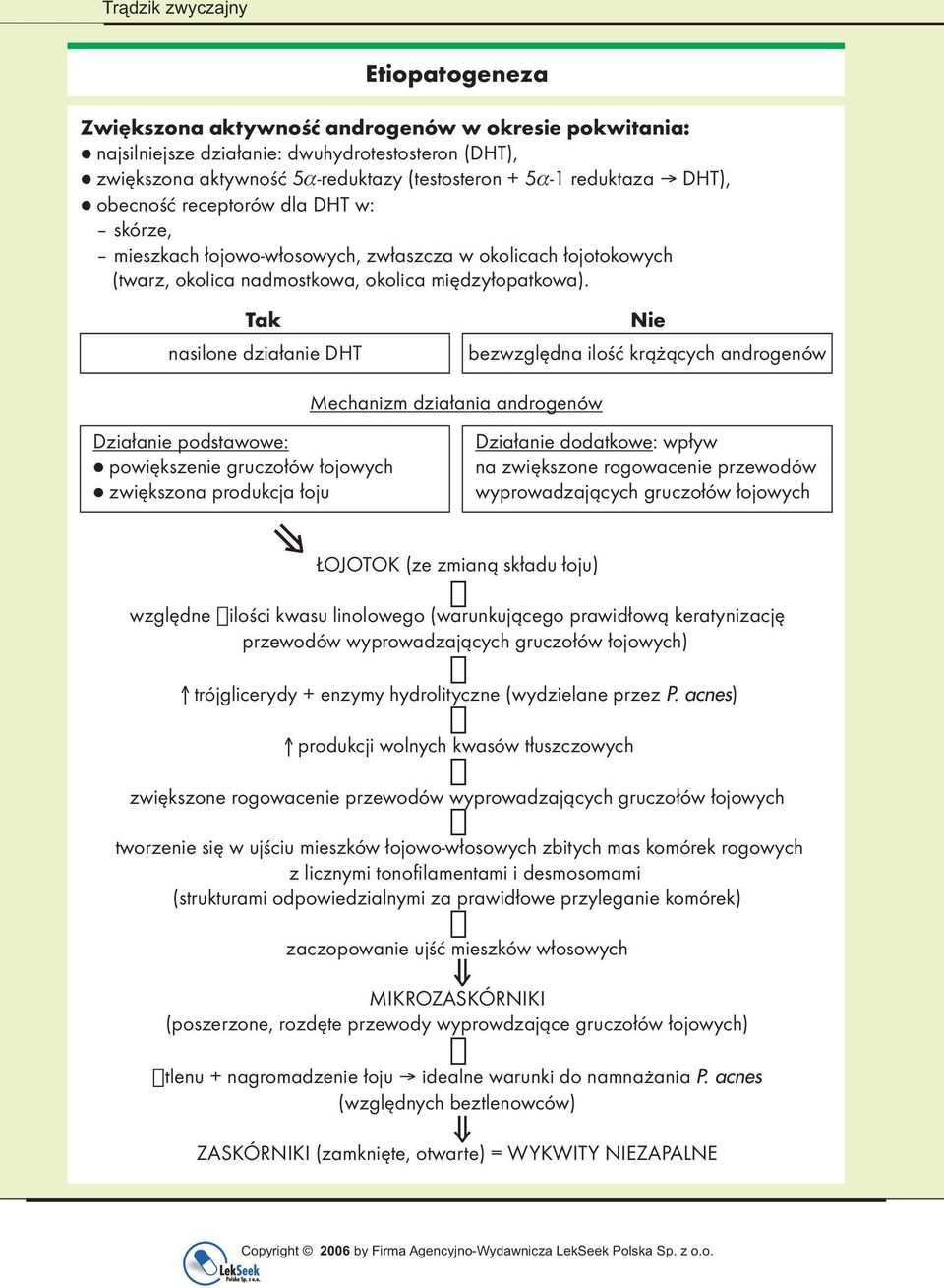 Tak nasilone działanie DHT Nie bezwzględna ilość krążących androgenów Mechanizm działania androgenów Działanie podstawowe: Działanie dodatkowe: wpływ powiększenie gruczołów łojowych na zwiększone