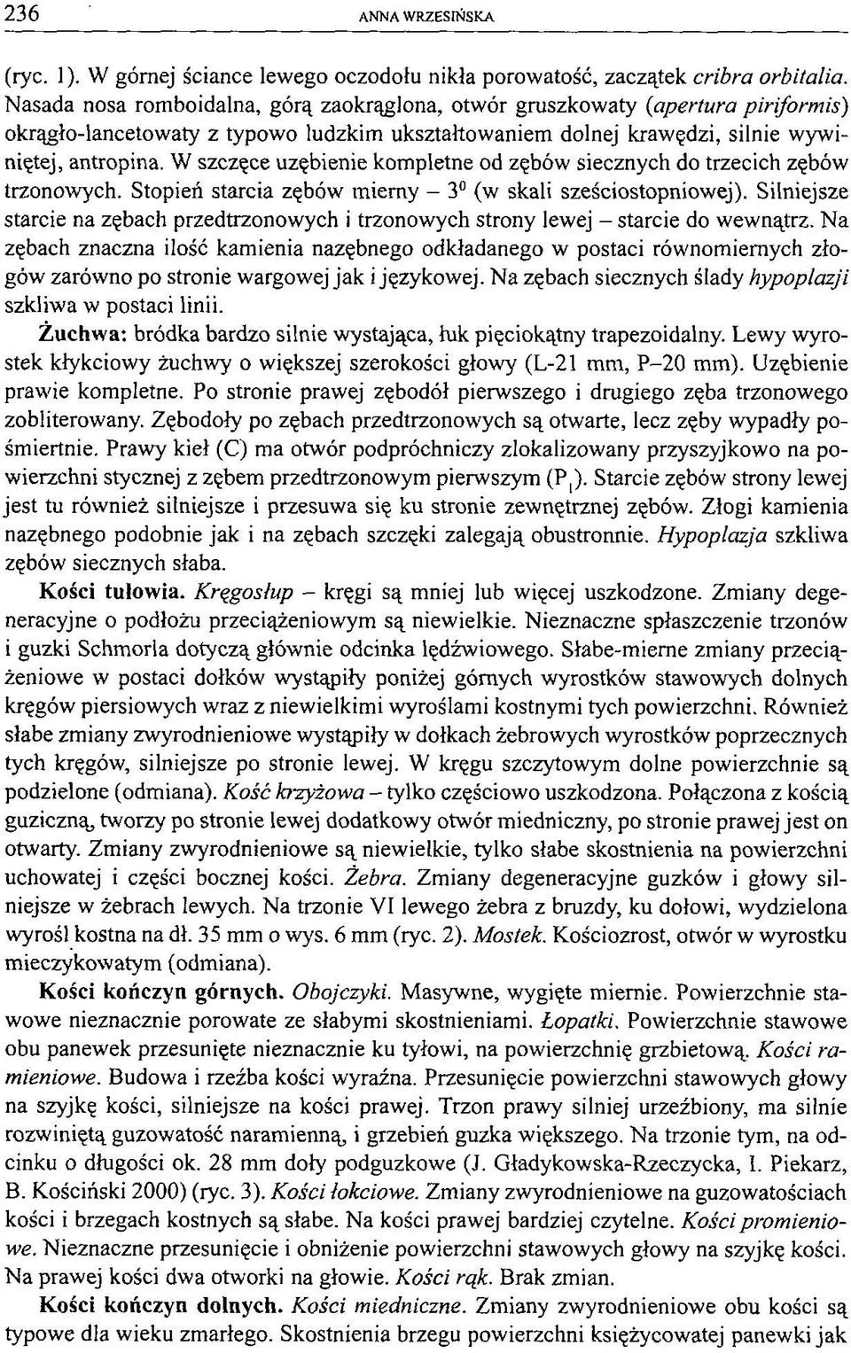W szczęce uzębienie kompletne od zębów siecznych do trzecich zębów trzonowych. Stopień starcia zębów mierny - 3 (w skali sześciostopniowej).