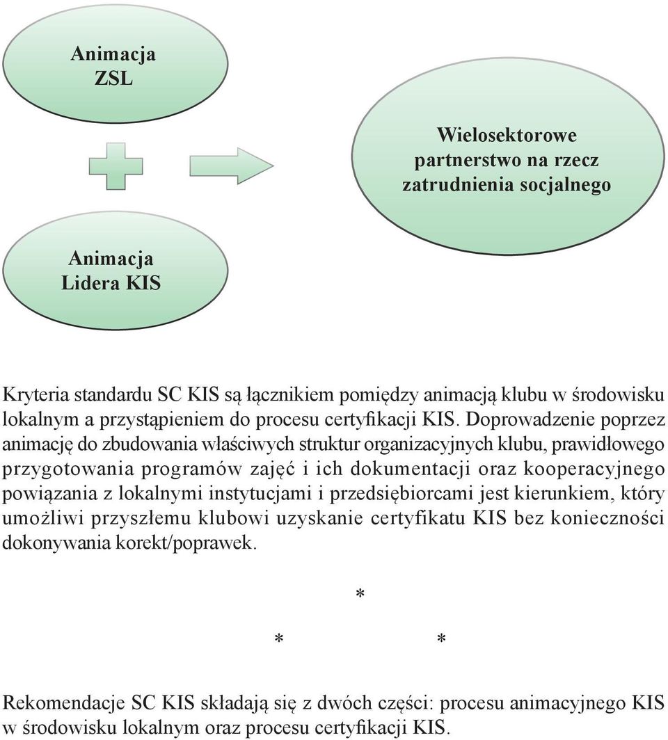 Doprowadzenie poprzez animację do zbudowania właściwych struktur organizacyjnych klubu, prawidłowego przygotowania programów zajęć i ich dokumentacji oraz kooperacyjnego