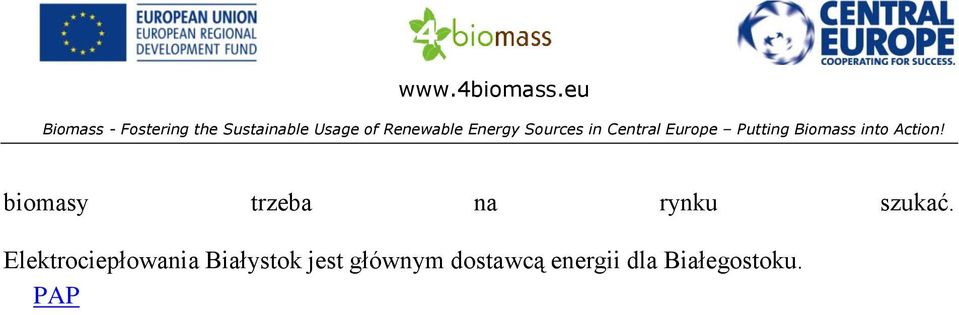 Energy Sources in Central Europe Putting Biomass into Action!