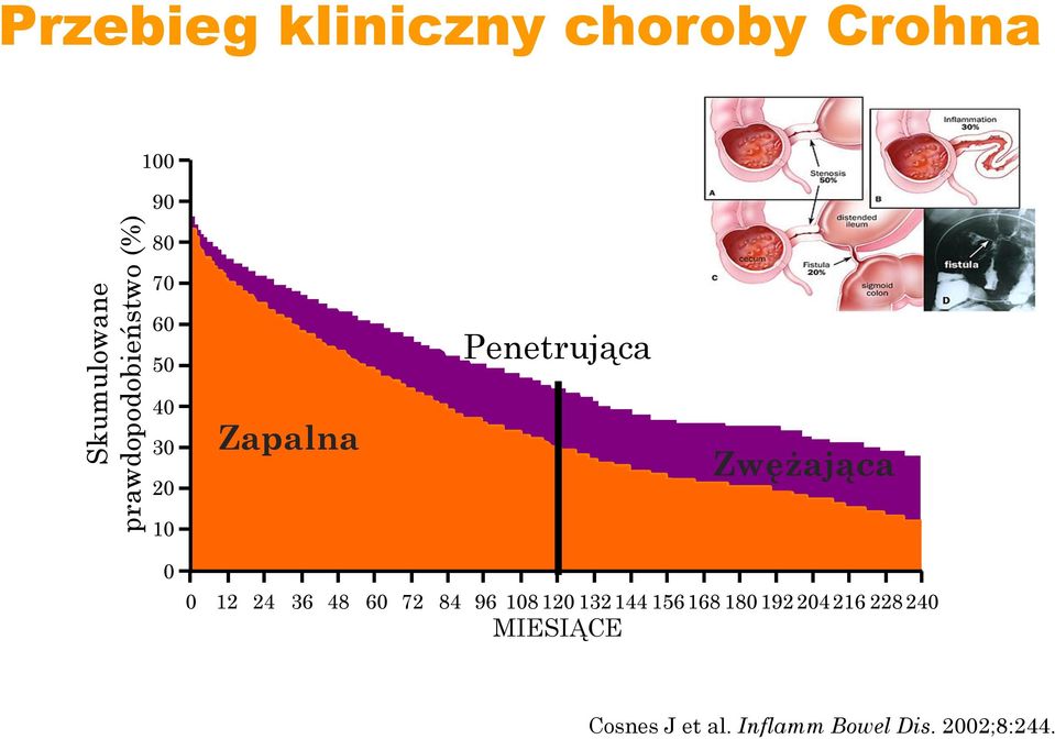 Zwężająca 0 0 12 24 36 48 60 72 84 96 108 120 132 144 156 168 180